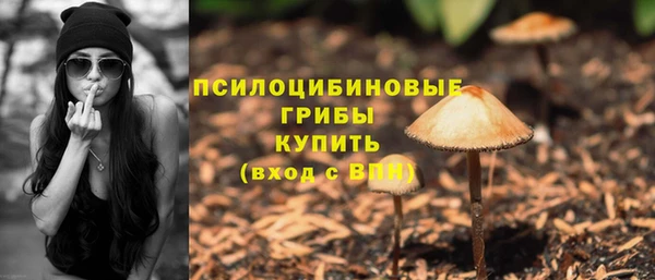 каннабис Коряжма