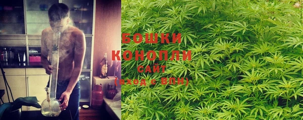 крисы Костерёво