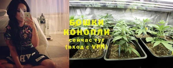 каннабис Коряжма
