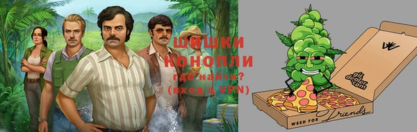 крисы Костерёво