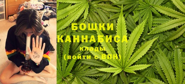 каннабис Коряжма