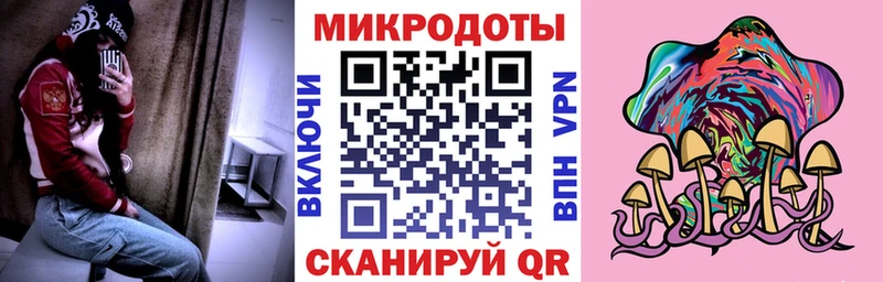 Псилоцибиновые грибы Psilocybe  Купить закладки  Анива 